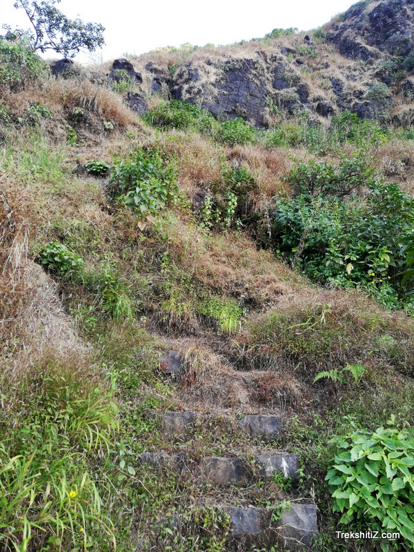 Madhu makarandgad